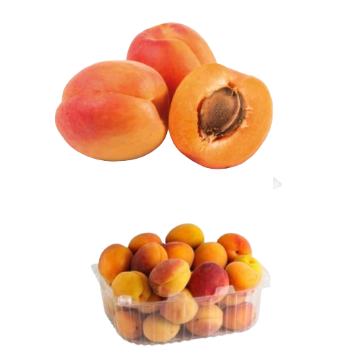 مشمش علبة