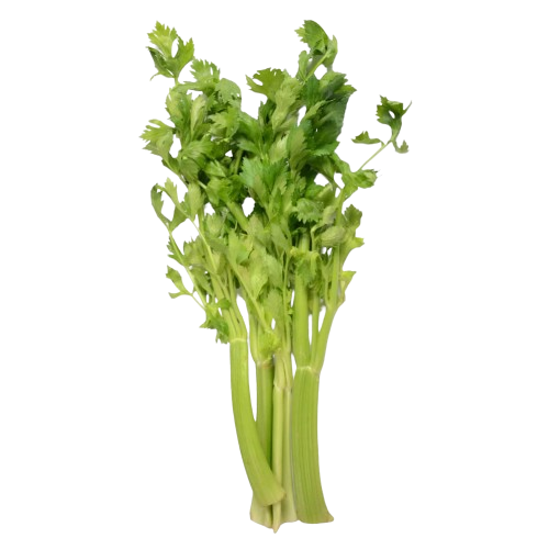 كرفس بلدي