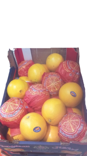 برتقال مصري فرش