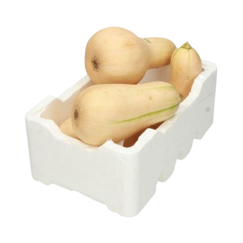 قرع بلدي فلين كبير