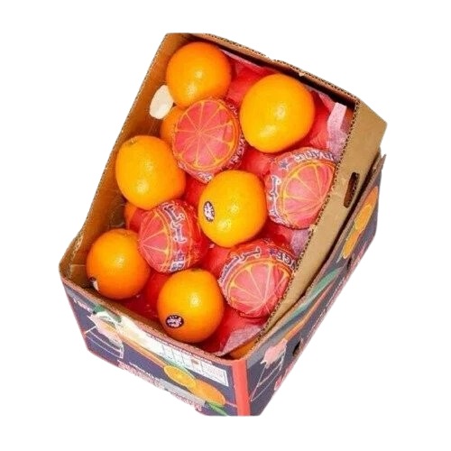 برتقال مصري كرتون