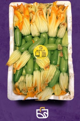 كوسة فلين وسط