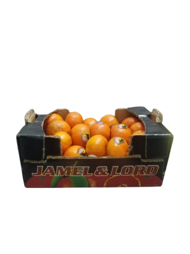 فندي تركي كرتون