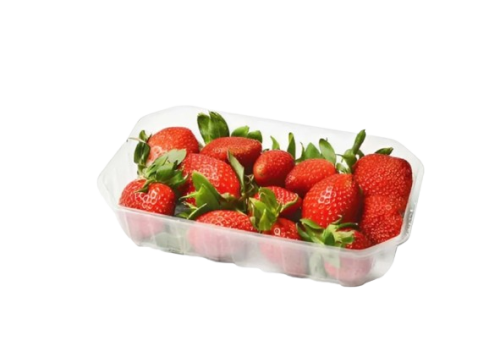 فراولة مصري علبة