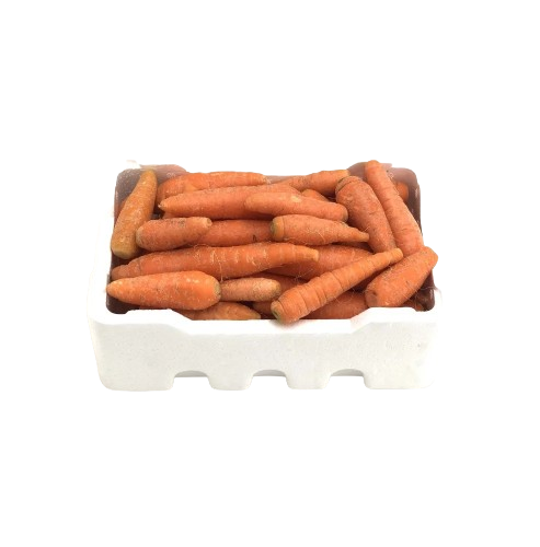 جزر بلدي فلين ربع