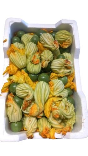 هدد فلين كبير