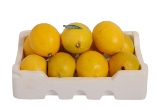 ليمون أفريقي فلين ربع