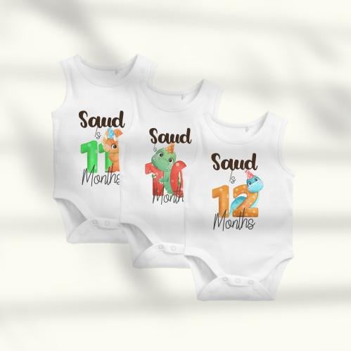 12-month clothing set - cute dinosaurs