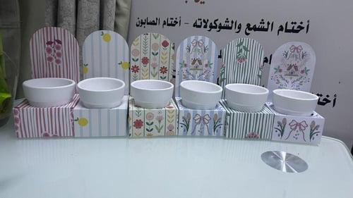 هدية نبتة الصبار