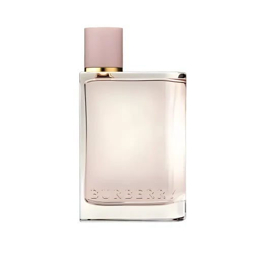عطر بربري هير او دو بارفيوم 100 مل