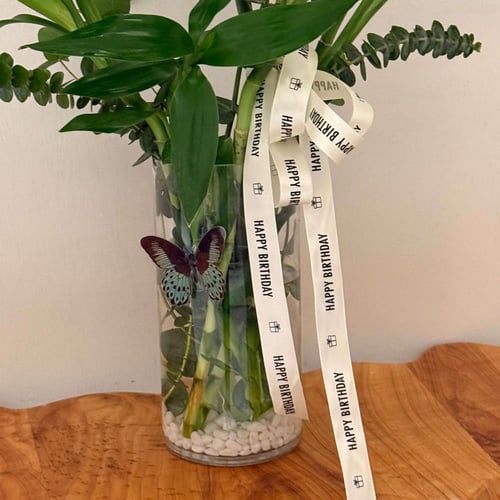 فازه البامبو