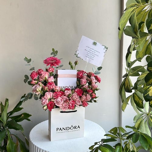 تنسيق كيس باندورا