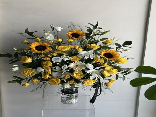 فازه تحمُد بالسلامه