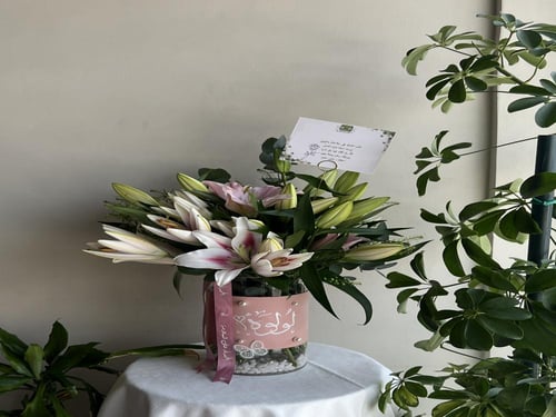 فازه كازابلانكا بريحتهآ الجميله / Casablanca vase...