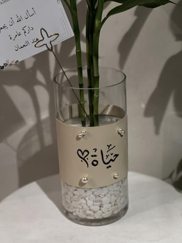 نبتة وفازه حياة