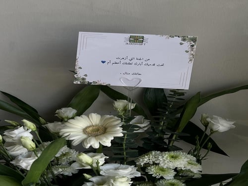 فازه مولود " بامبو "