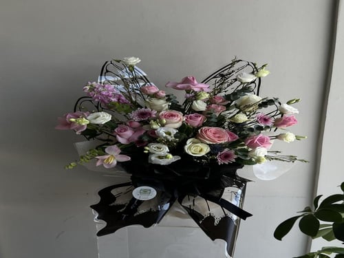 باقه الفراشه الأنيقه