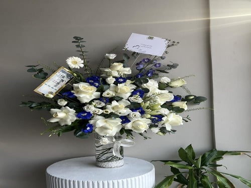 فـــازه مولـــود خرافـيـه