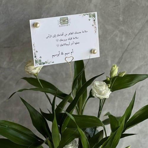 تنسيق فازه مع باتشي