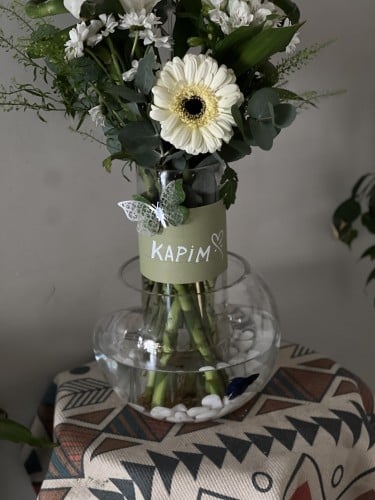 فازه بامبمو مع السمك