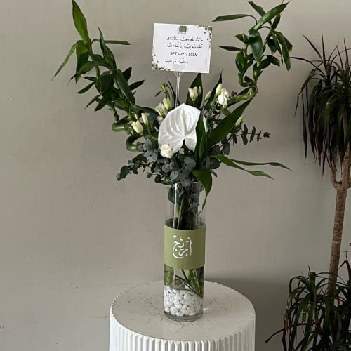 فازه بامبمو اسم الي تحب