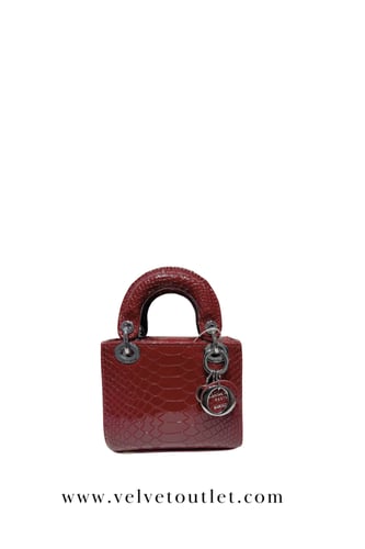 شنطة ديور ميني