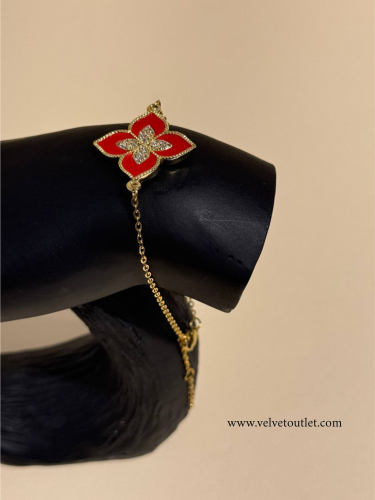 اسوارة ربرتو كوين