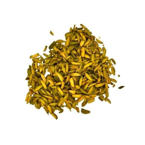 فستق صنوبري