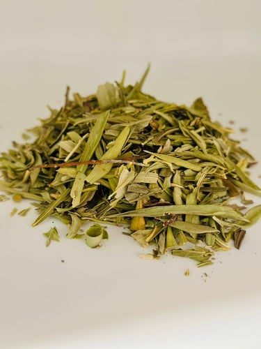 عشبة الزاز المغربية