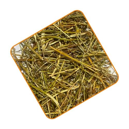 عشبة حشيشة القلب (القديسين)