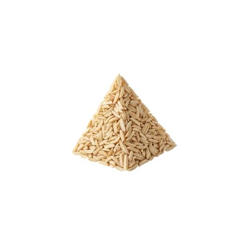 صنوبر