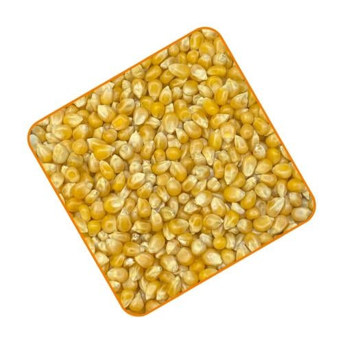 فشار ذرة 5 كيلو