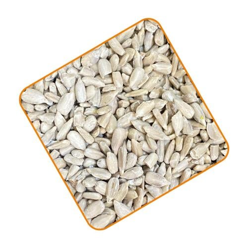 بذور دوار الشمس