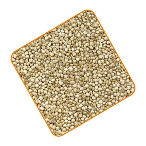 بذور الكينوا