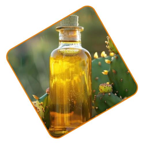 زيت جنين القمح 180 مل