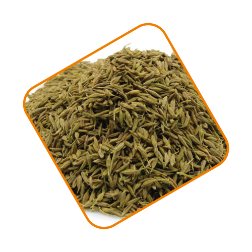 كمون سوداني حب