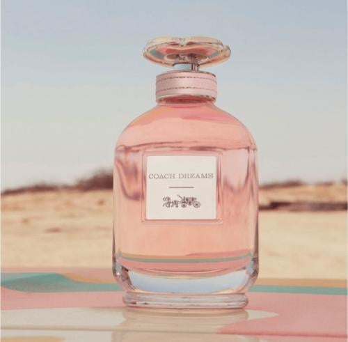 كوتش عطر كوتش دريمز للنساء - او دي برفيوم - 90 مل