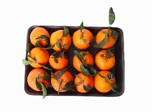 يوسف افندي افريقي صحن كيلو