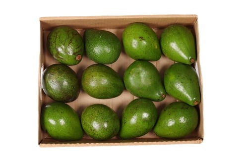 افوكادو كيني كرتون 3.5 كيلو