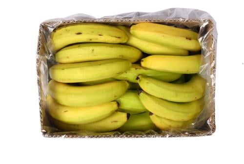 موز - كرتون 14 كيلو