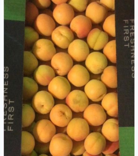 مشمش افريقي - كرتون 4.5 كيلو