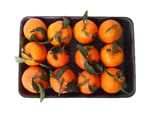 يوسف افندي افريقي صحن كيلو