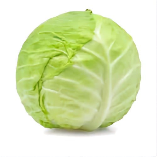 ملفوف أبيض كبير -حبه