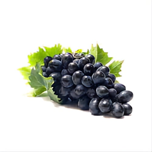 عنب اسود- صحن كيلو