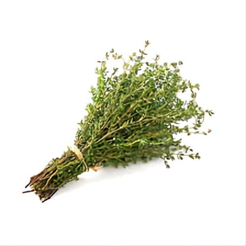 زعتر بري يوناني