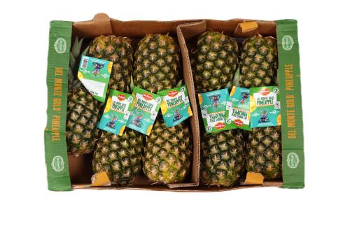 اناناس - كرتون 9 حبه