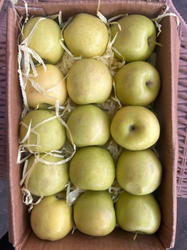 تفاح ايراني اصفر كرتون -٣ كيلو