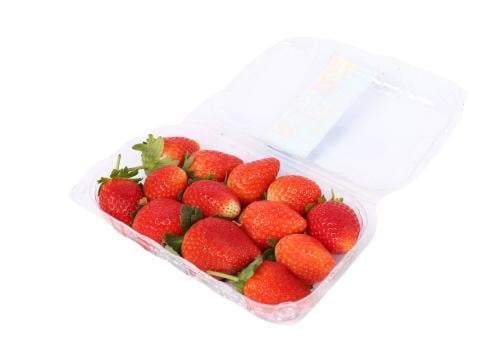 فراولة مصري