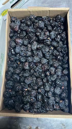 عجوة المدينة - كيلو