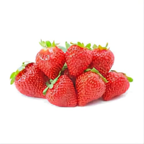 فراولة مصري